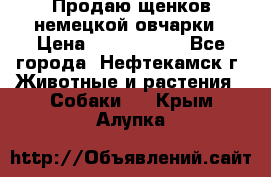 Продаю щенков немецкой овчарки › Цена ­ 5000-6000 - Все города, Нефтекамск г. Животные и растения » Собаки   . Крым,Алупка